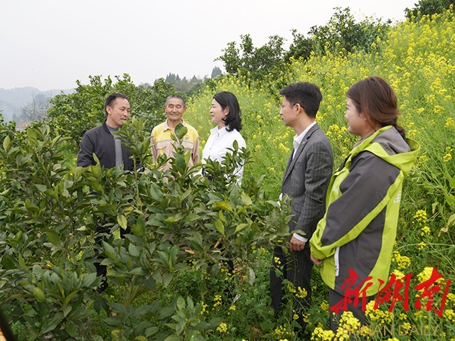 農業(yè)技術服務站入村大有可為——全國人大代表李小紅深入山間地頭宣講全國兩會精神