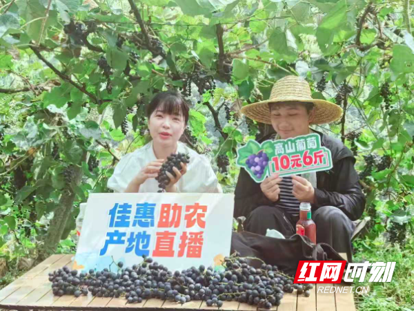 微信圖片_20251009143514.jpg